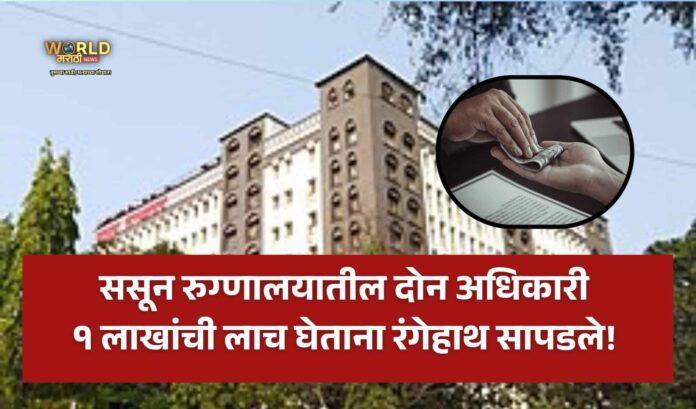 Pune Sassoon Hospital News